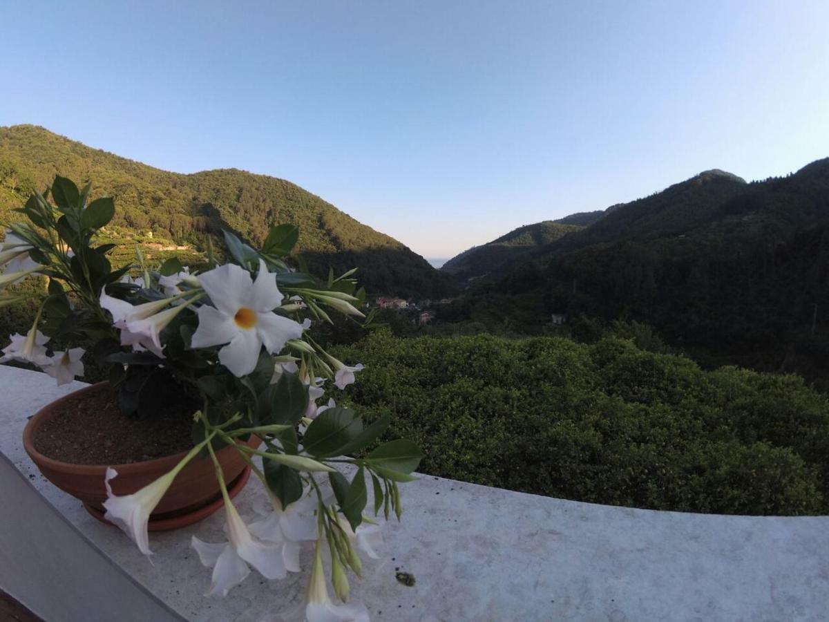 B&B Bouganville Tramonti Exterior foto